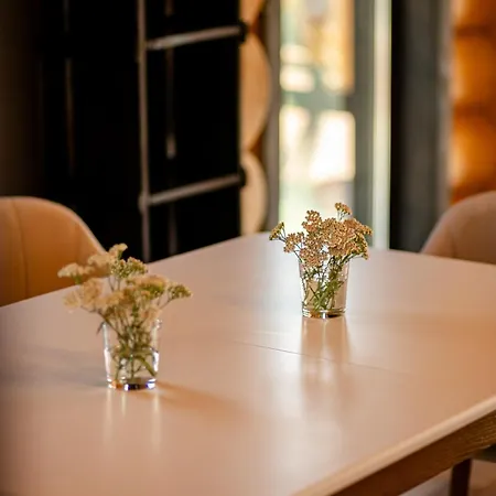 Magura Hotel Yablunytsya